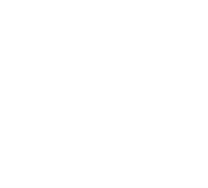 Legion Holdings Legion Holdings